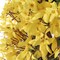 22&#x22; Sunny Yellow Forsythia Wreath with Grapevine Ring by Floral Home&#xAE;